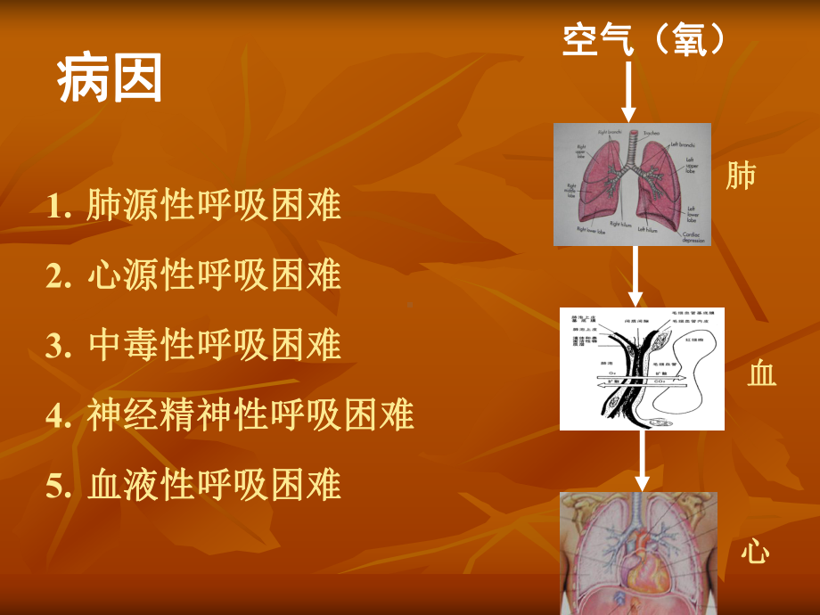 呼吸困难（临床医学概论）课件.ppt_第3页