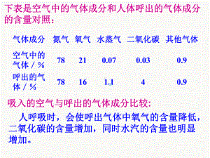 人体的呼吸讲解ppt课件.ppt