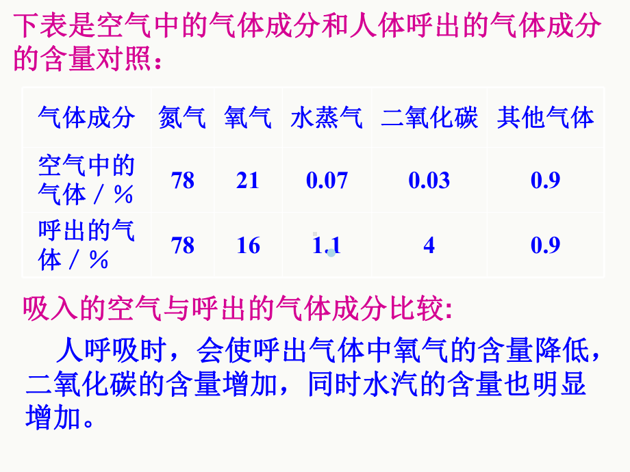 人体的呼吸讲解ppt课件.ppt_第1页