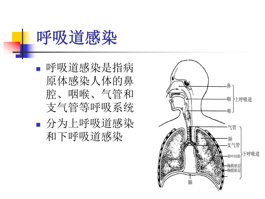 呼吸道病原体检测ppt演示课件.ppt_第2页