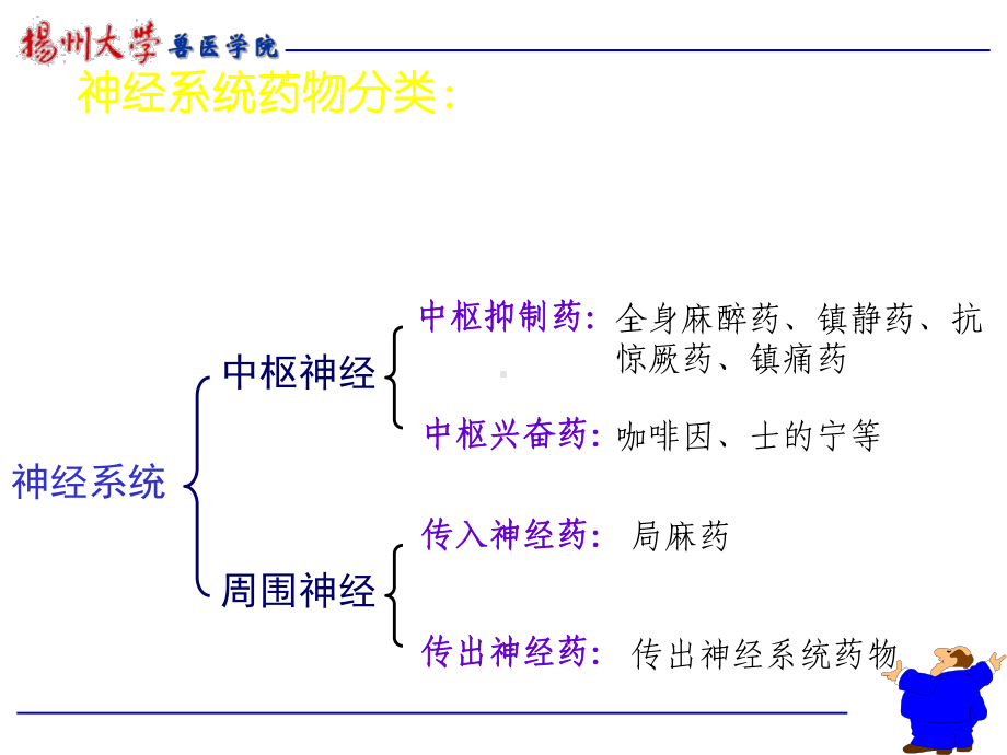 兽医药理及毒理学 05-消化呼吸泌尿生殖课件.ppt_第3页