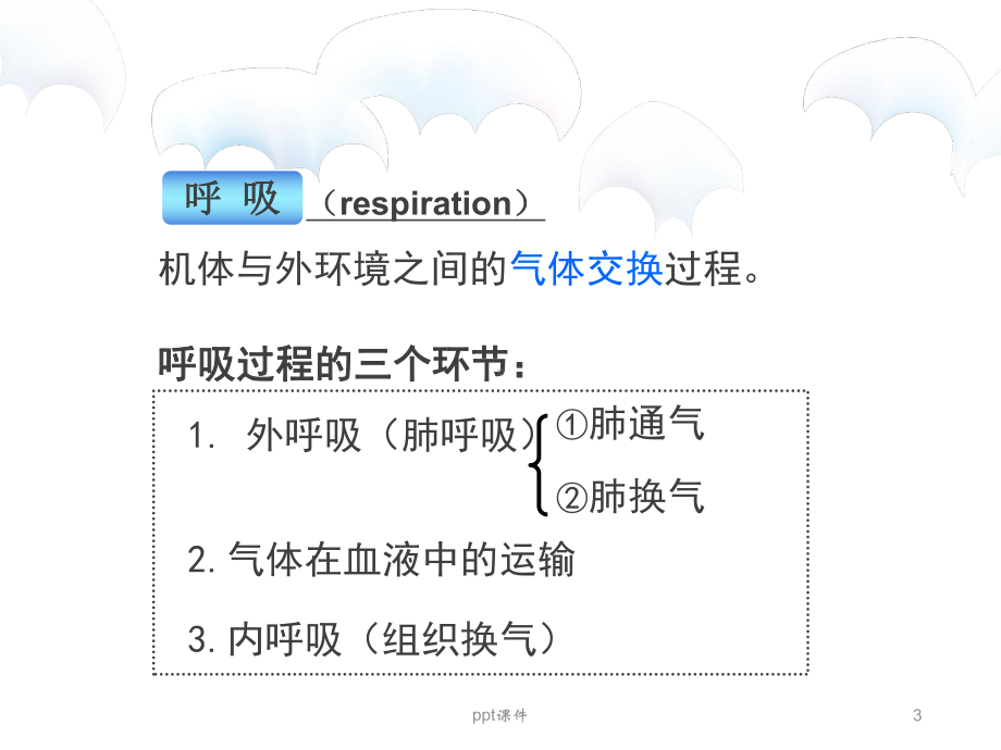 《生理学》呼吸-ppt课件.ppt_第3页