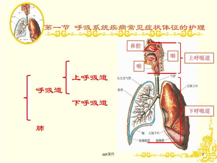 呼吸系统疾病常见症状体征的护理-ppt课件.ppt_第2页