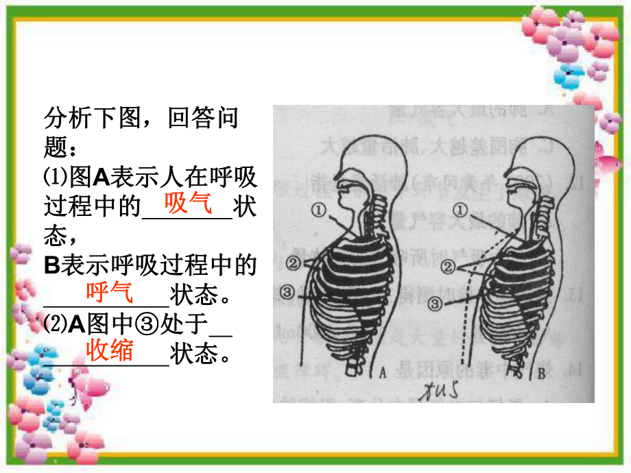 我们在呼吸小学科学课件.ppt_第2页