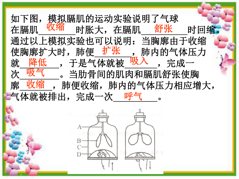 我们在呼吸小学科学课件.ppt_第3页