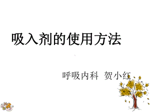 呼吸内科 -吸入剂的使用PPT课件.ppt