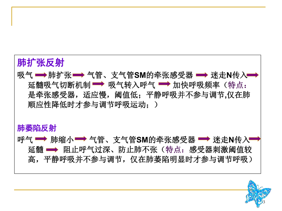 家兔呼吸运动的调节PPT课件.ppt_第3页