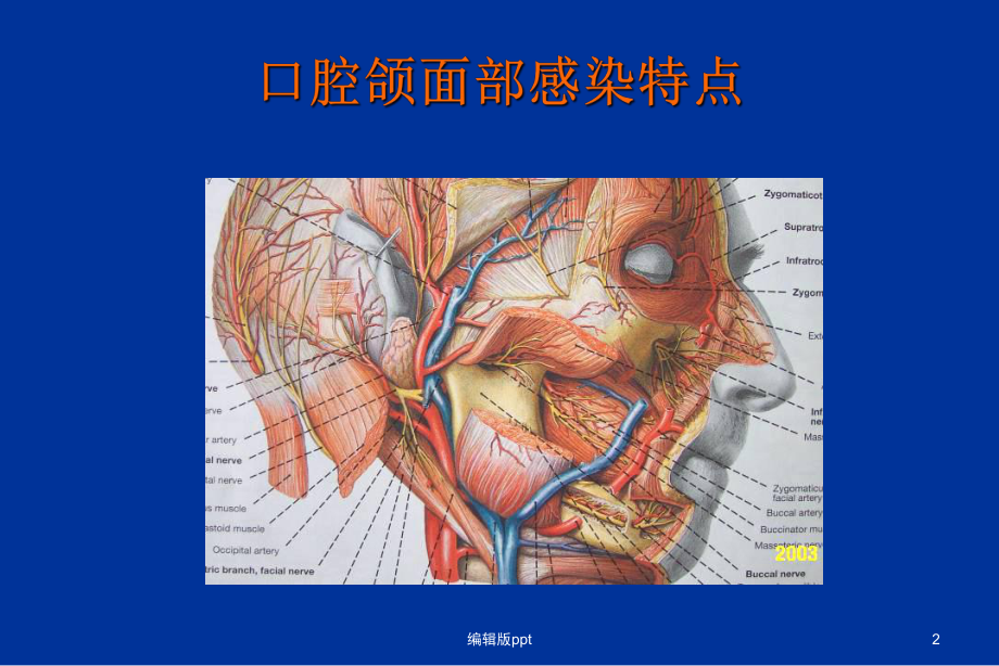 口腔颌面部感染医学PPT课件.ppt_第2页