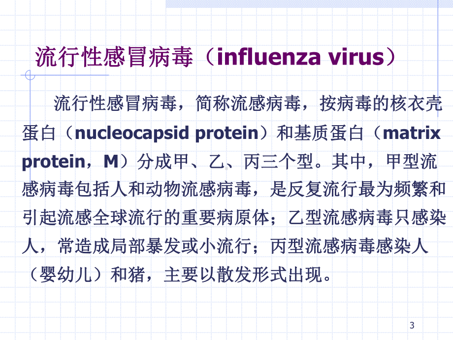 呼吸道病毒课件PPT课件.ppt_第3页