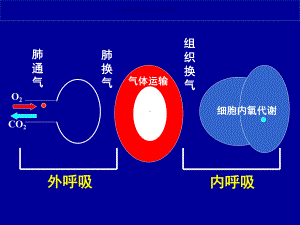 急性呼吸衰竭和抢救措施课件.ppt