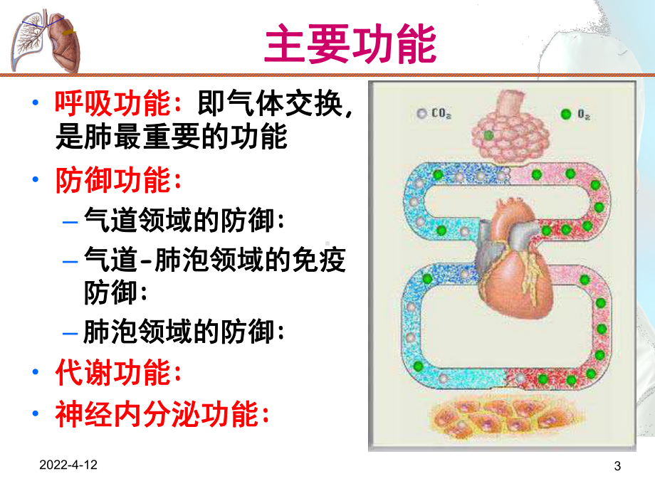 呼吸系统疾病-PPT课件.ppt_第3页