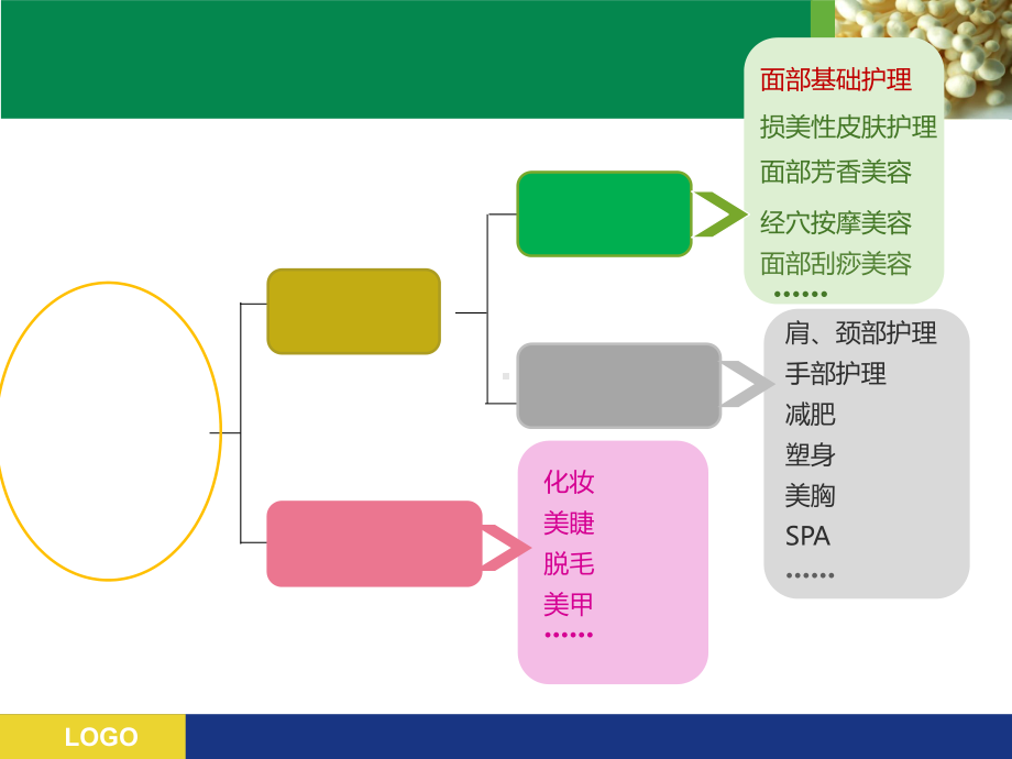 医学面部皮肤护理专题PPT培训课件.ppt_第3页