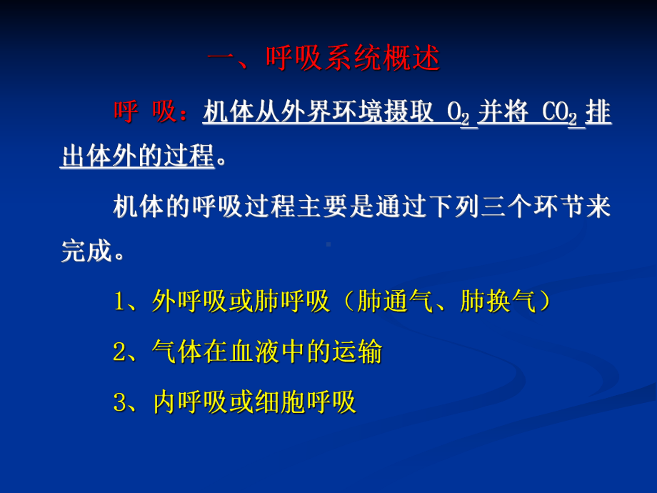 呼吸系统解剖生理学课件.pptx_第2页