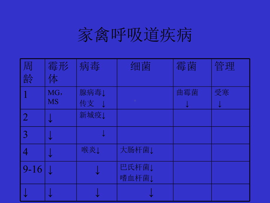 家禽呼吸道疾病课件.ppt_第2页