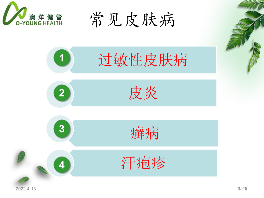 常见皮肤病课件.ppt_第2页