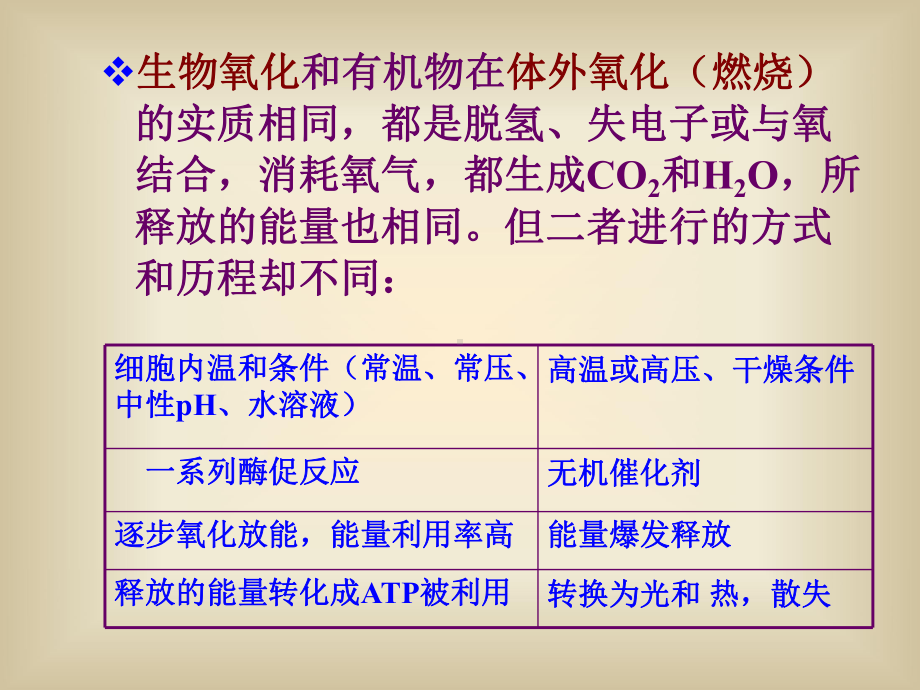 电子传递和氧化呼吸链课件.ppt_第3页