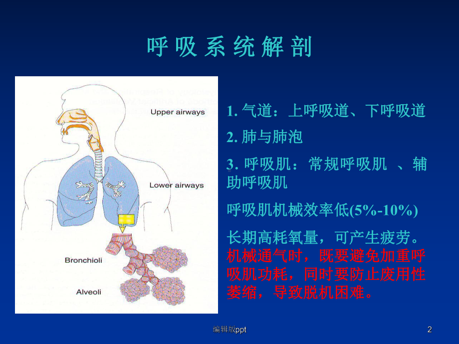 呼吸机常见报警及处理ppt课件.ppt_第2页