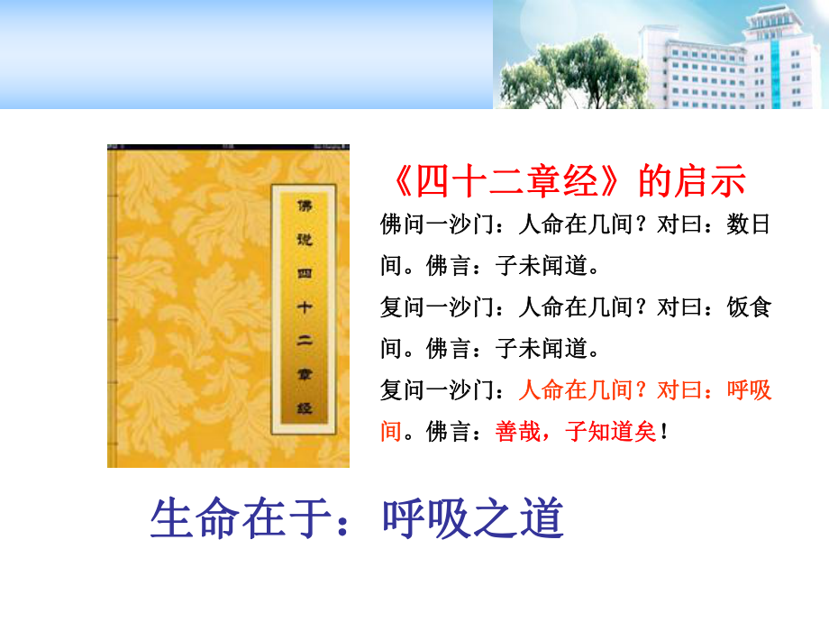 机械通气的呼吸力学课件.ppt_第2页