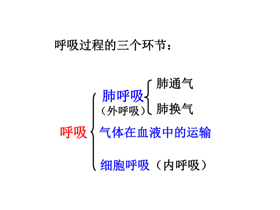 运动生理学-第六章-呼吸课件.ppt_第3页