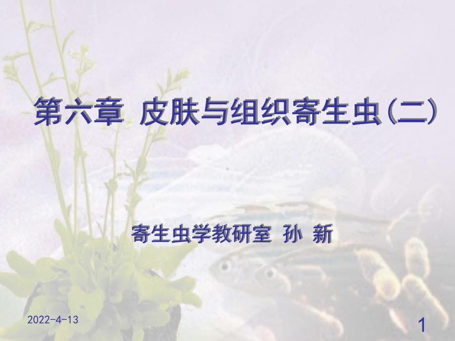 皮肤组织寄生虫二课件.ppt_第1页