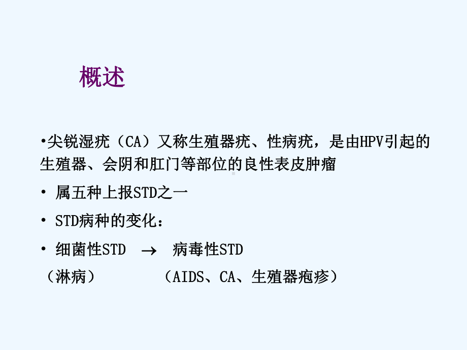 尖锐湿疣的特点及治疗规范(copy)课件.ppt_第2页