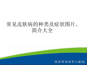 常见皮肤病的种类及症状图片简介大全1课件.ppt