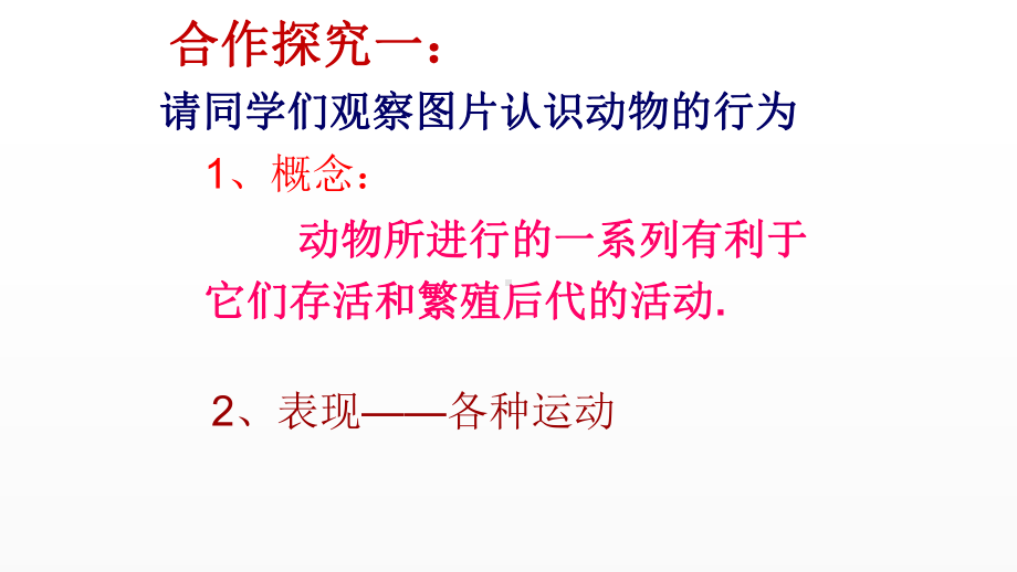 《动物的运动和行为》优课一等奖课件.pptx_第3页