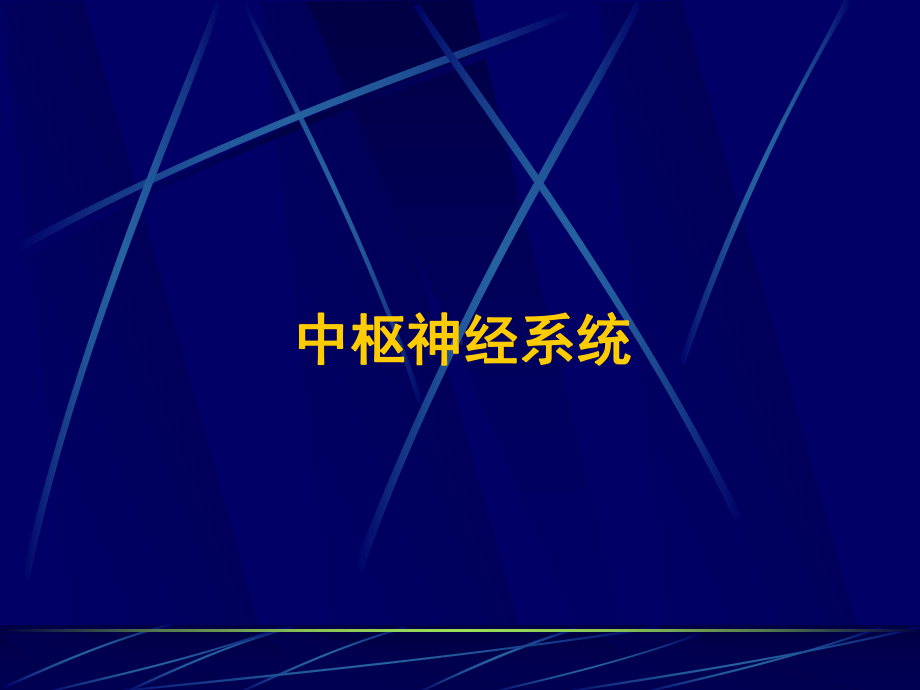 中枢神经系统与头颈部影像诊断 课件.ppt_第2页