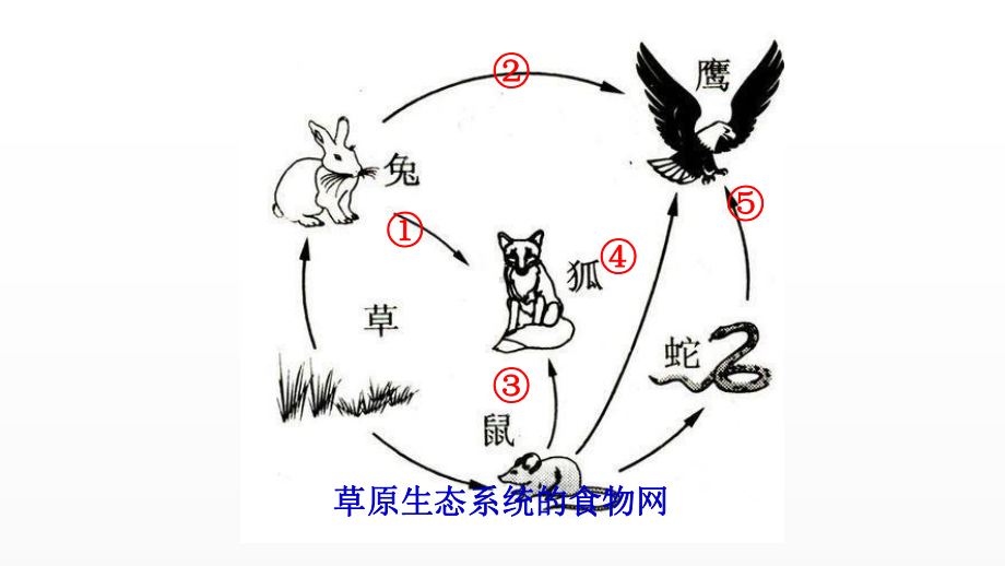 《动物在生物圈中的作用》优课教学一等奖课件.pptx_第3页