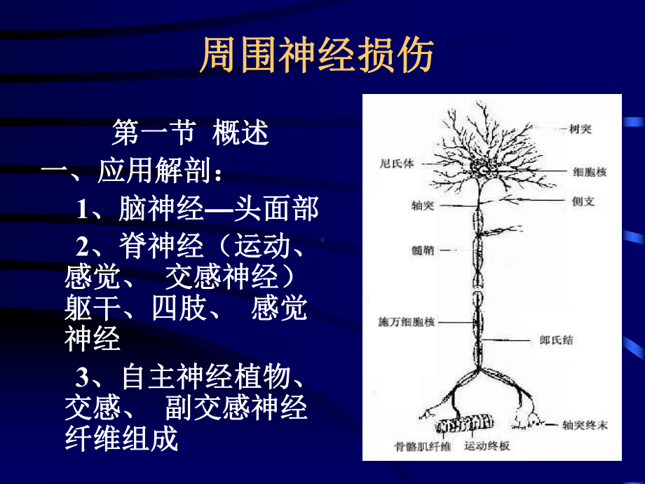 周围神经损伤-PPT课件( 同名 ).ppt_第1页