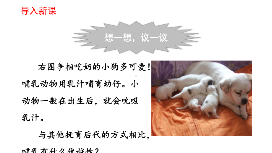 《哺乳动物》优课一等奖课件.pptx_第2页