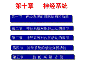 人体及动物生理学第六章神经系统1课件.ppt