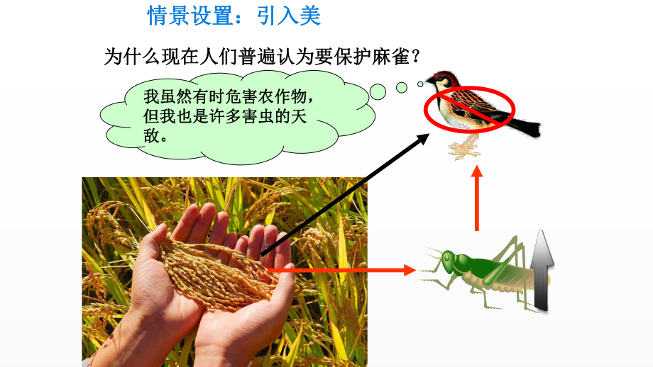 《动物在生物圈中的作用》培优教学一等奖课件.pptx_第2页