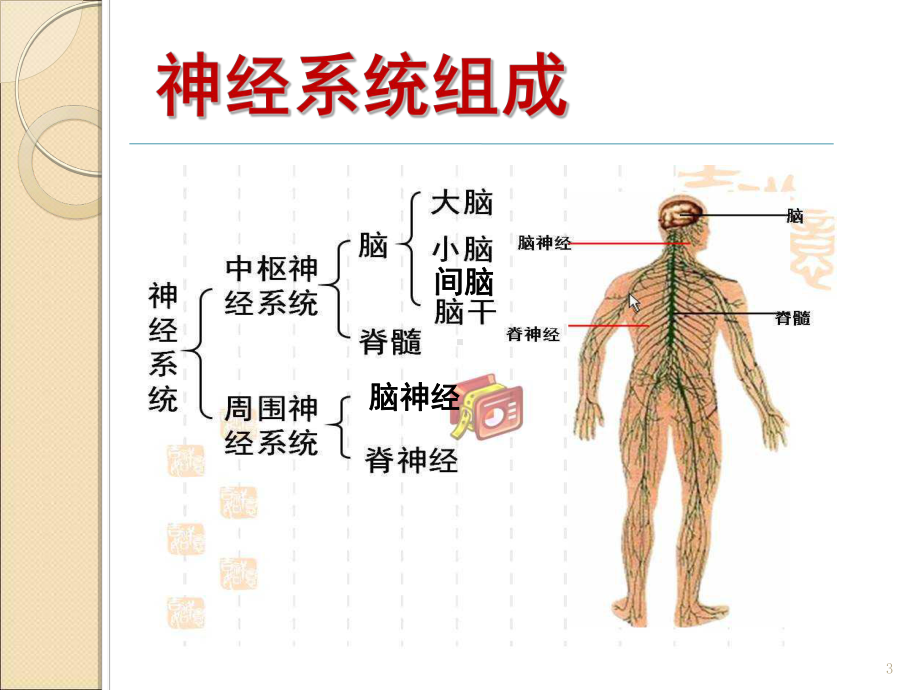 肝脏疾病并发中枢神经系统病变- 医科大学第三医课件.ppt_第3页