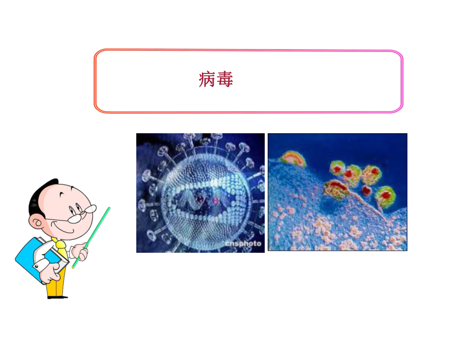 《病毒》公开课一等奖教学课件.ppt_第3页