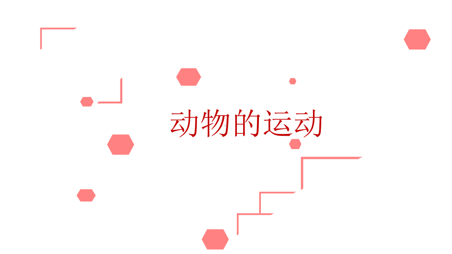 《动物的运动》优质课教学一等奖课件.pptx_第1页