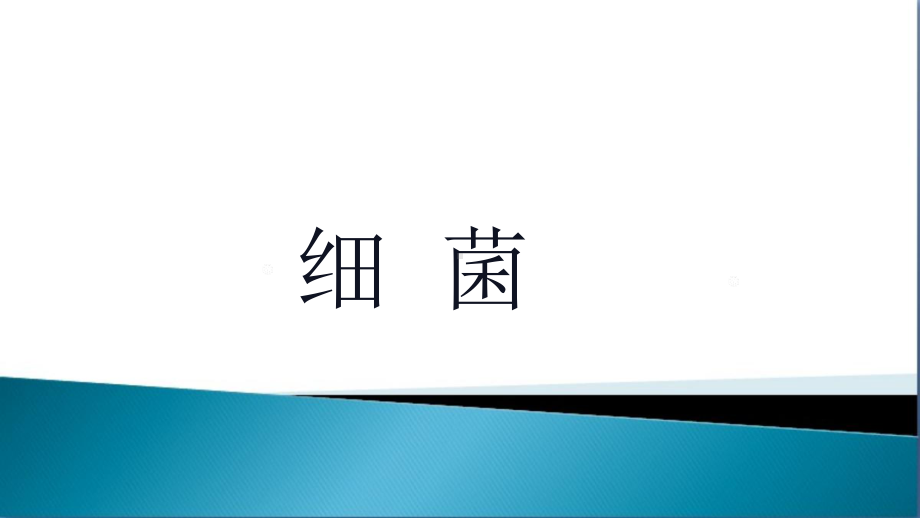 《细菌》优课教学一等奖课件.pptx_第1页