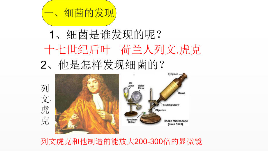 《细菌》优课教学一等奖课件.pptx_第2页