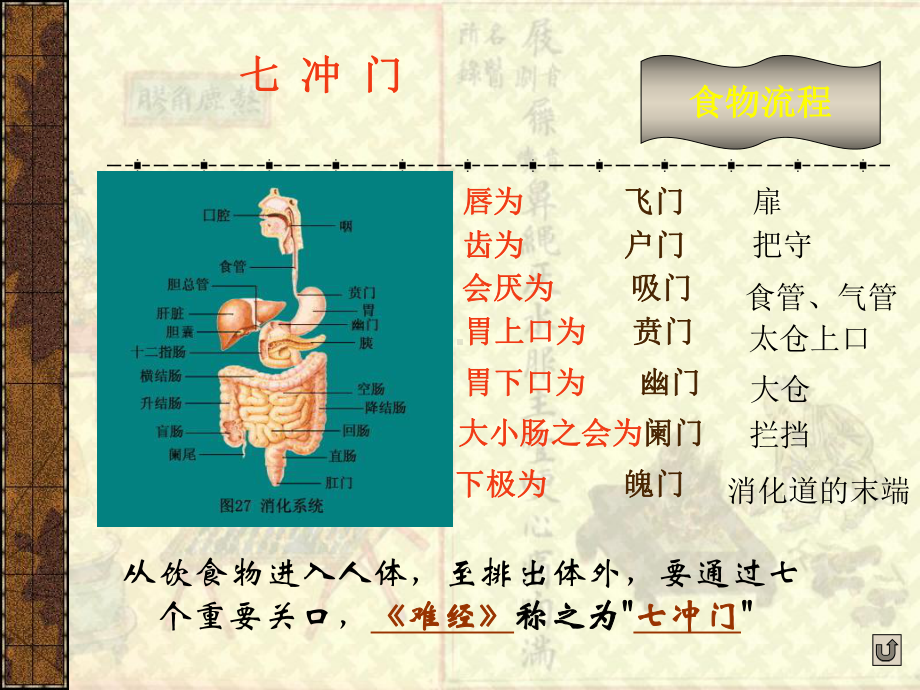 中医护理讲课精品课件六腑.ppt_第3页