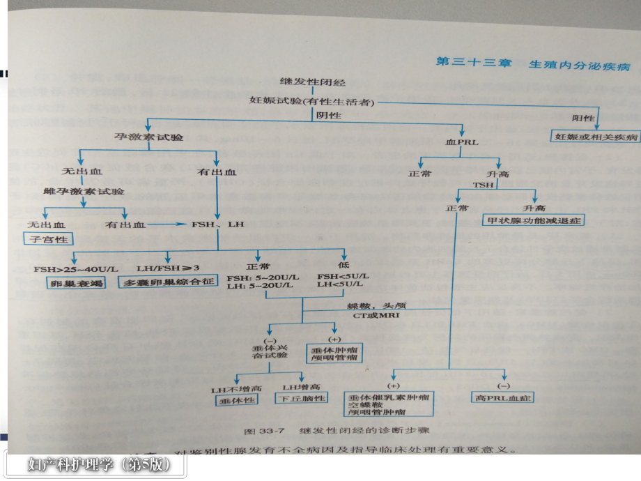 中医妇科学崩漏PPT课件.ppt_第2页