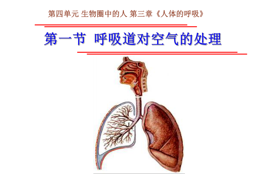 《呼吸道对空气的处理》公开课教学一等奖课件.pptx_第1页