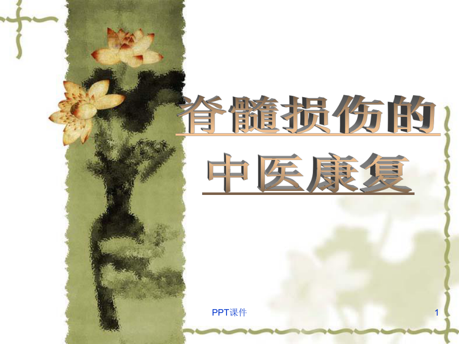 脊髓损伤的中医康复-ppt课件.ppt_第1页