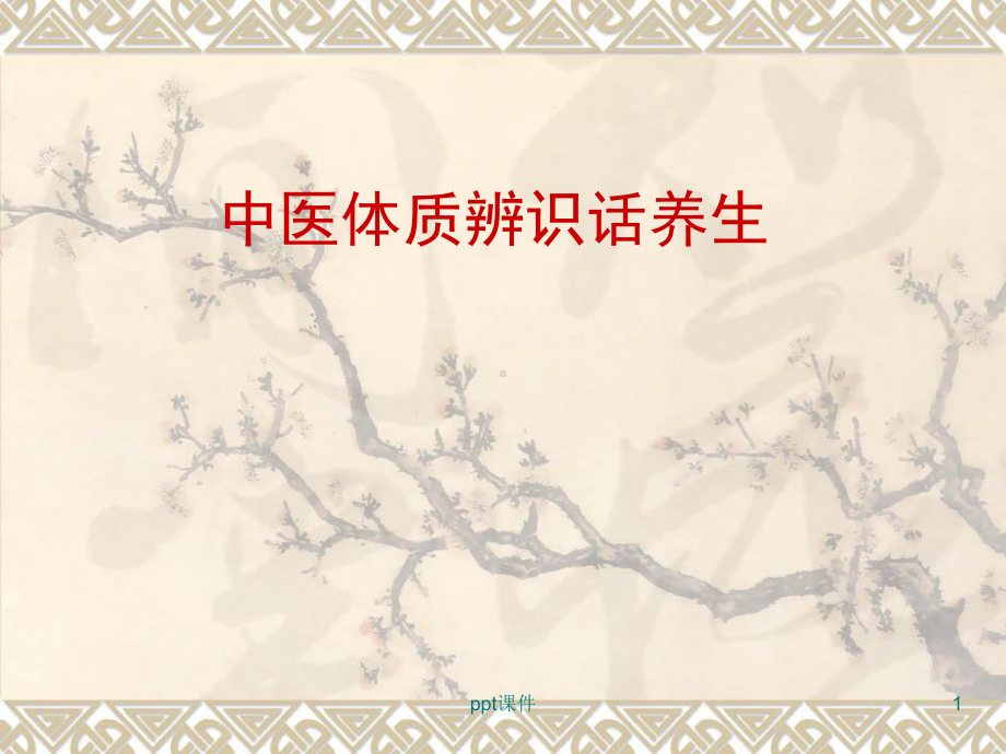 中医体质辨识-ppt课件.ppt_第1页