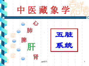 中医藏象学-五脏系统-ppt课件.ppt