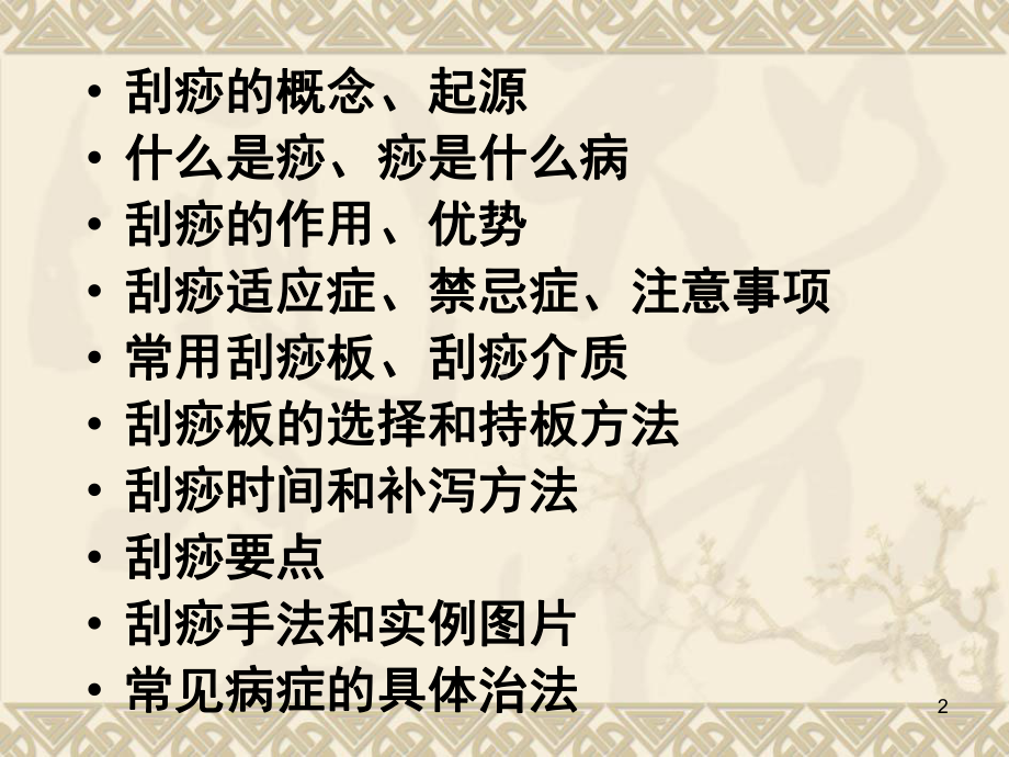 中医刮痧疗法PPT课件.ppt_第2页