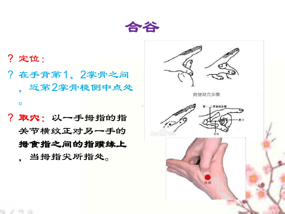 中医护理学基础常用腧穴课件.ppt_第3页