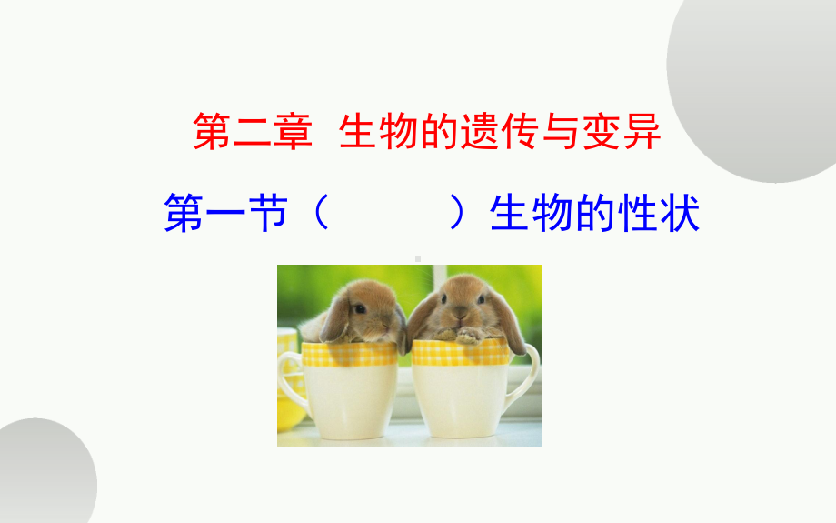 《生物的性状》优课一等奖课件.pptx_第3页