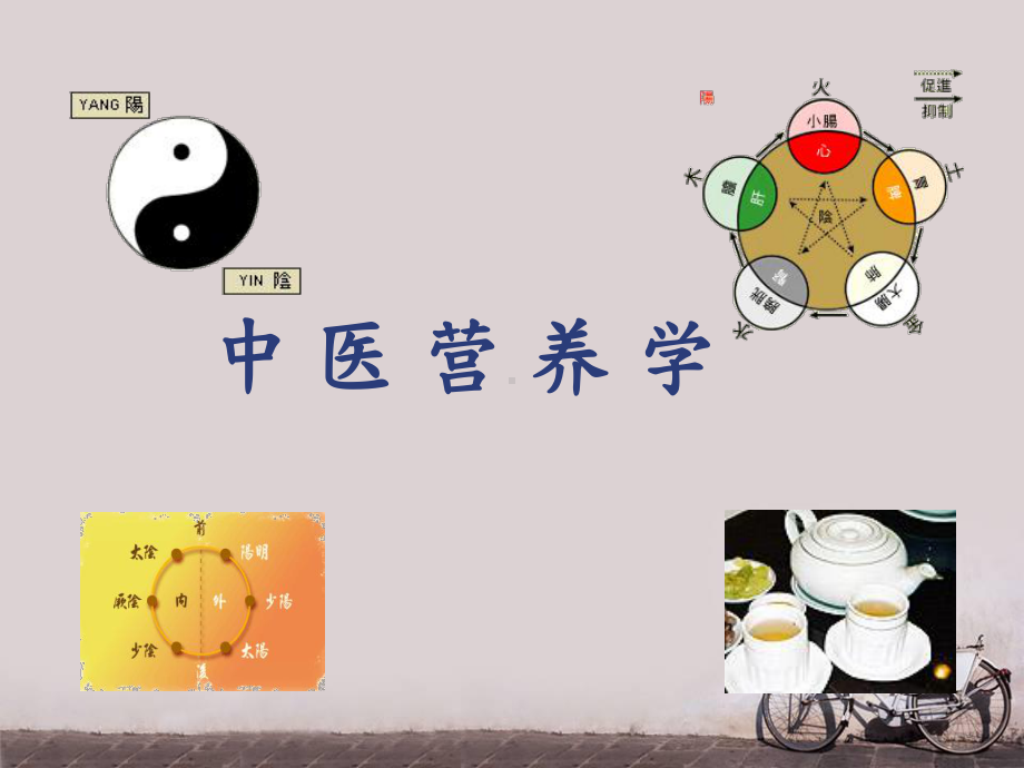 中医营养学-ppt课件.ppt_第1页