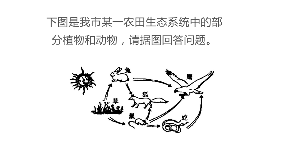 七上生物复习重点图优质课件.pptx_第2页