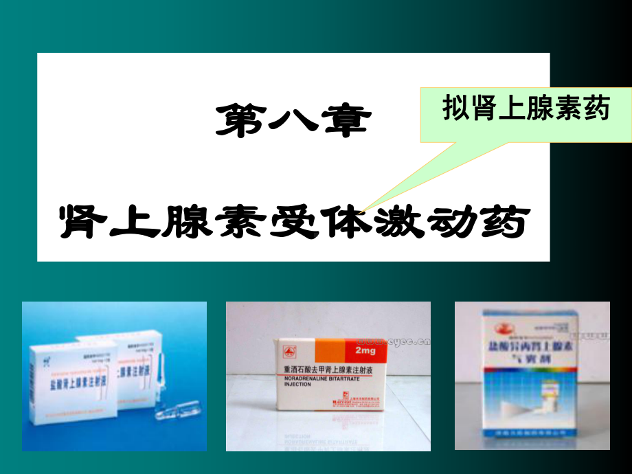 中医学院课件拟肾上腺素药.ppt_第1页